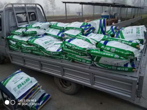 非瘟時代，裝卸品質 守護養殖安全的堅實防線